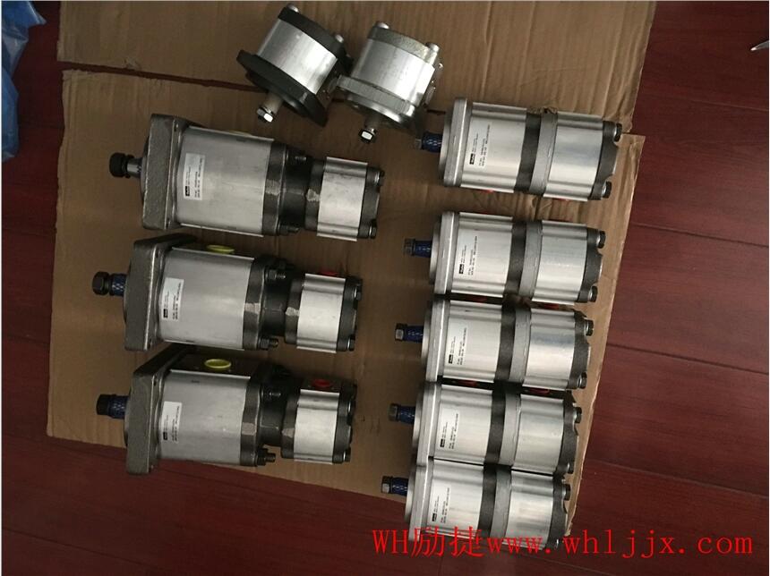雙聯(lián)齒輪泵3339521054力士樂方向座閥